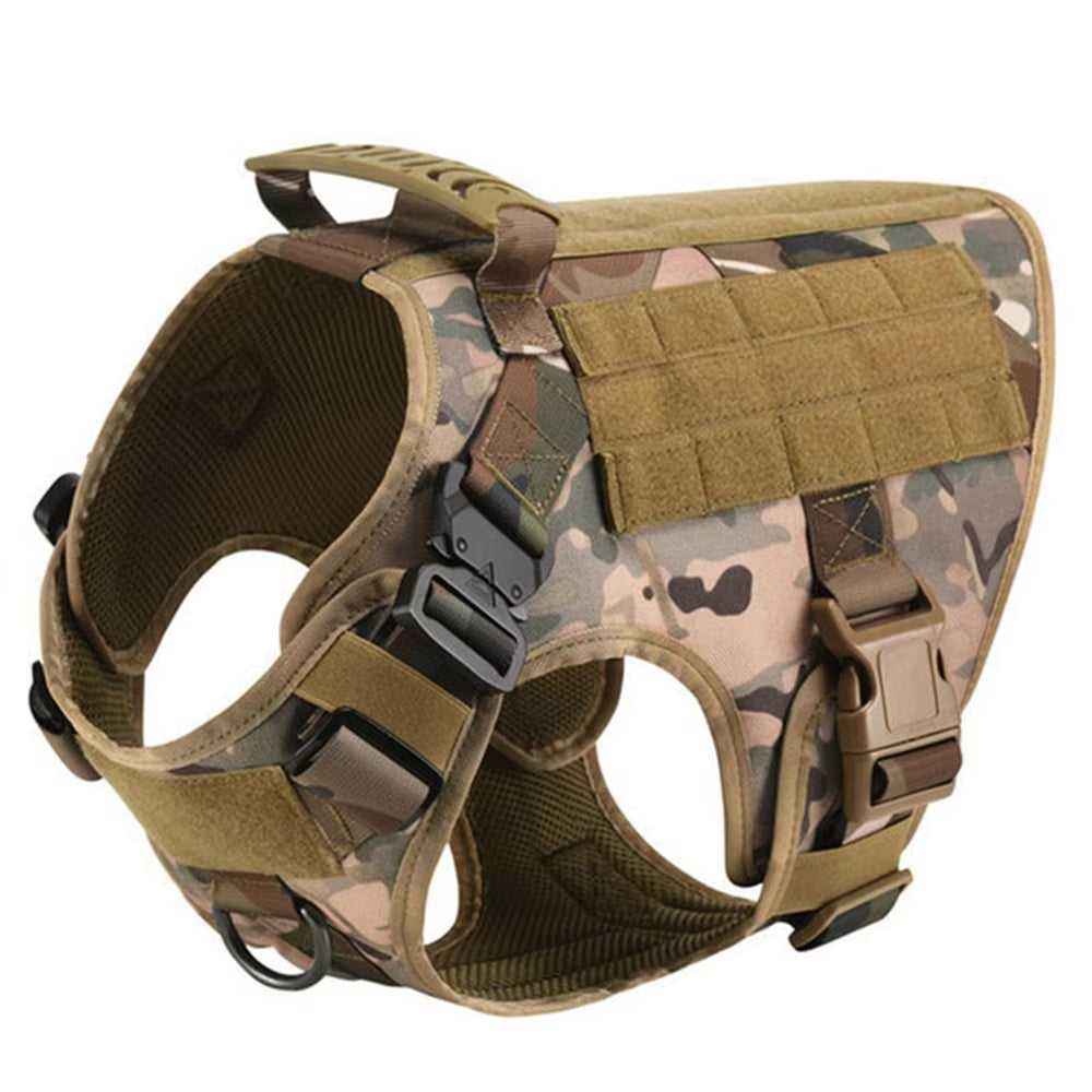 Pet Harness and Leash Set