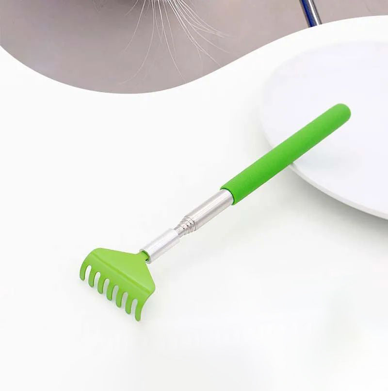 Cat Grooming and Scratching Brush