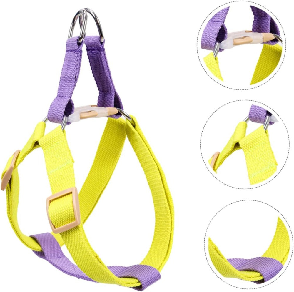 Small Dog Harness and Leash Set