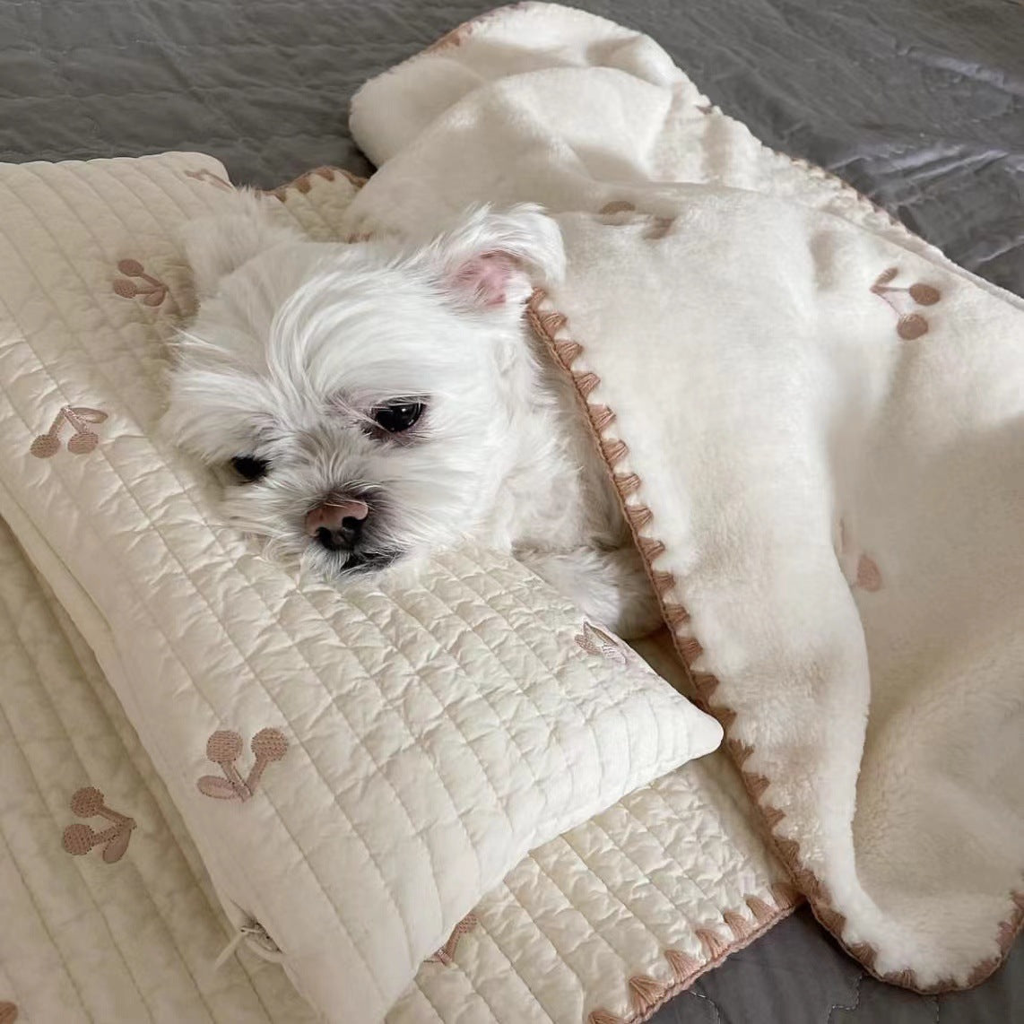 Pet Bed with Removable Square Cushion