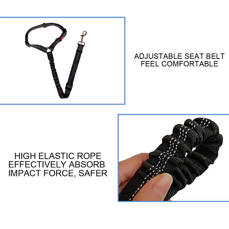 Elastic Pet Leash