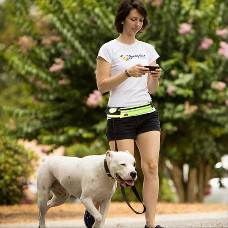 Hands-Free Bungee Dog Leash with Waist Pouch