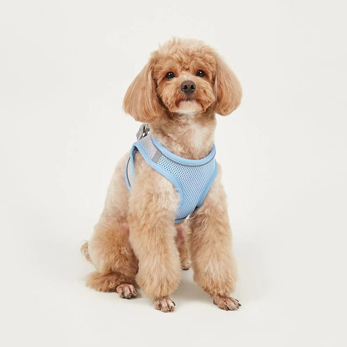 Vest-Style Pet Harness