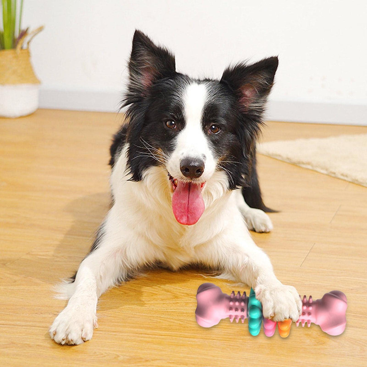 Textured TPR Bone Dog Toy