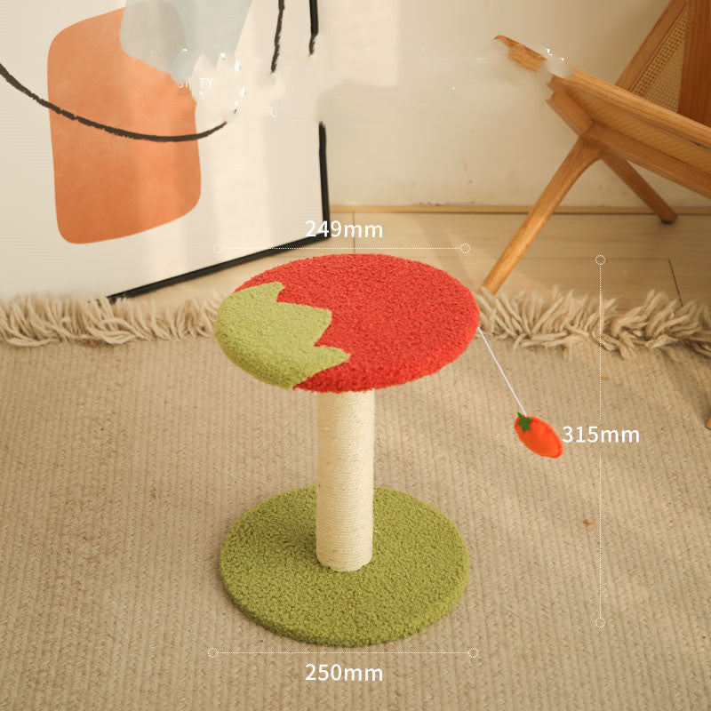 Small Cat Scratching Post and Platform
