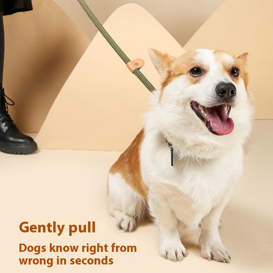 Nylon Dog Walking Leash