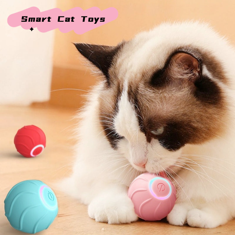 Rechargeable Rolling Cat Toy Ball