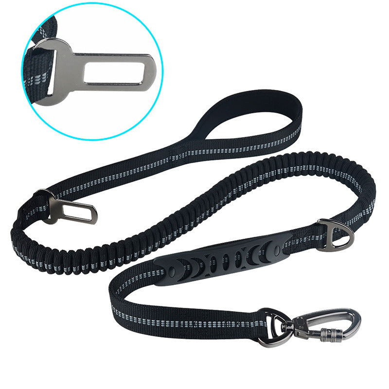 Dog Walking Leash