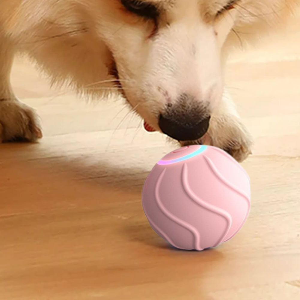 Rechargeable Bouncing Cat Toy Ball