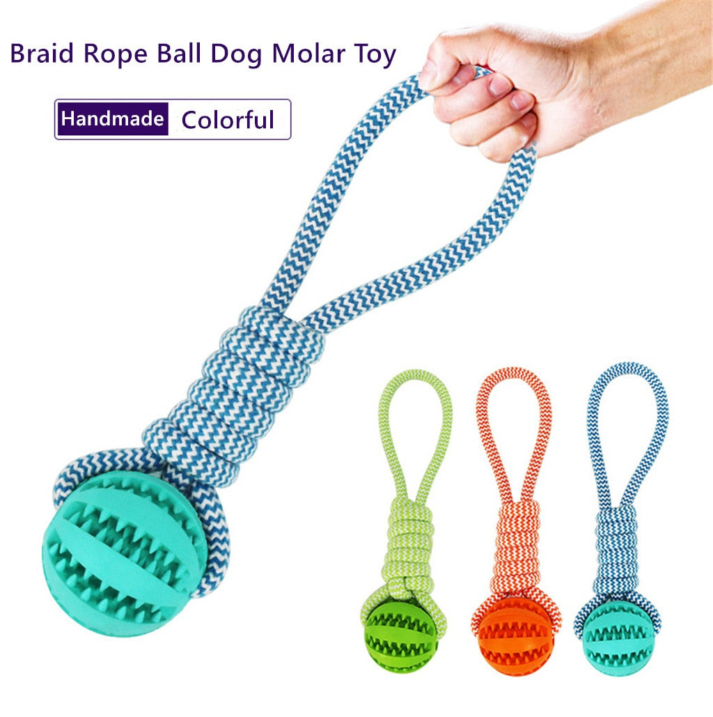 Rope and Treat Ball Dog Toy