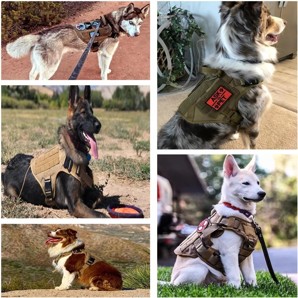Pet Harness and Leash Set