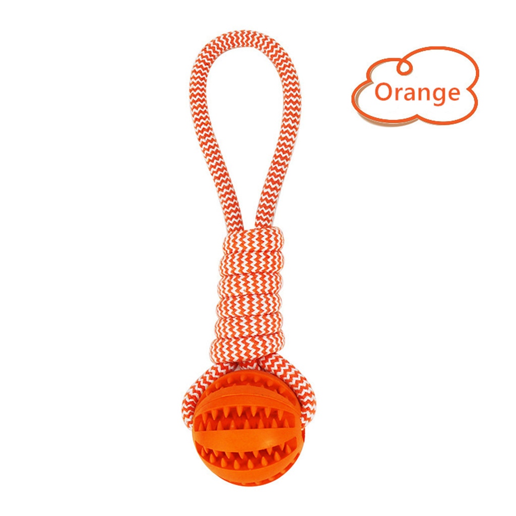 Rope and Treat Ball Dog Toy