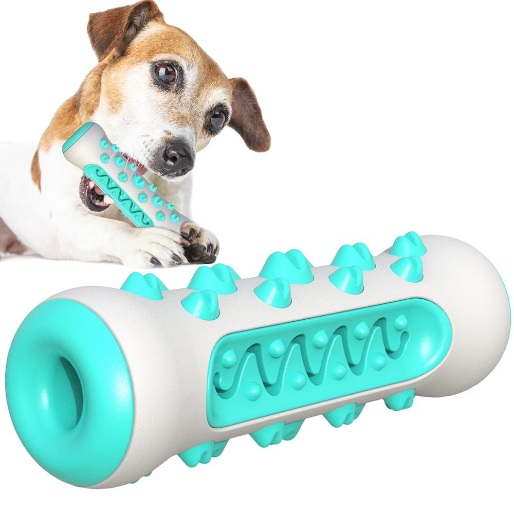 Textured TPR and Nylon Dog Chew Toy