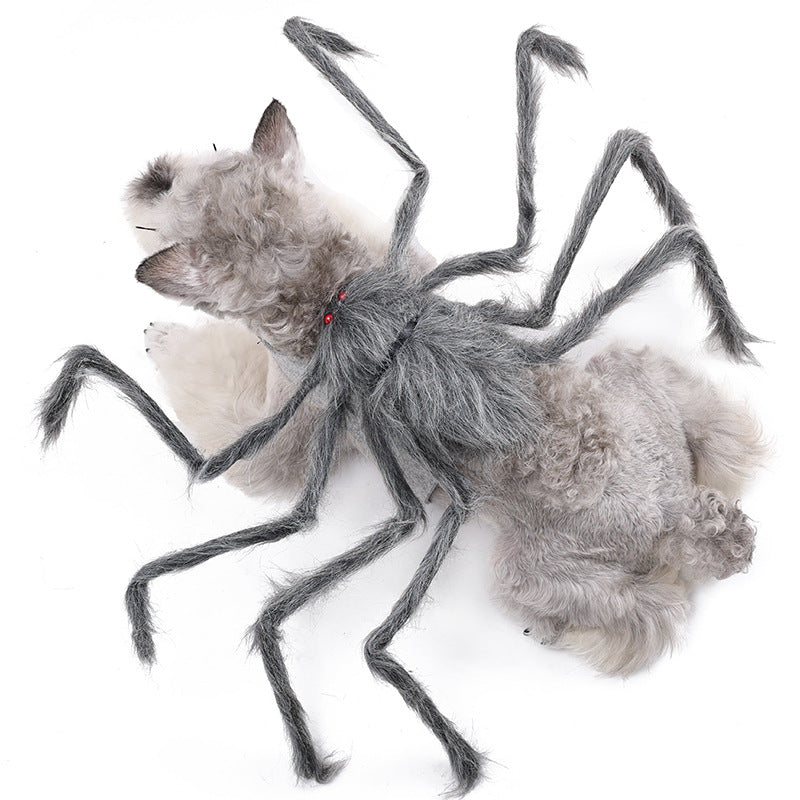 Spider Pet Costume