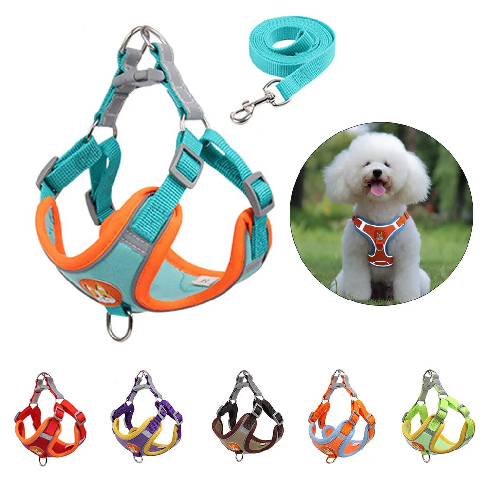 Adjustable Pet Harness and Leash Set