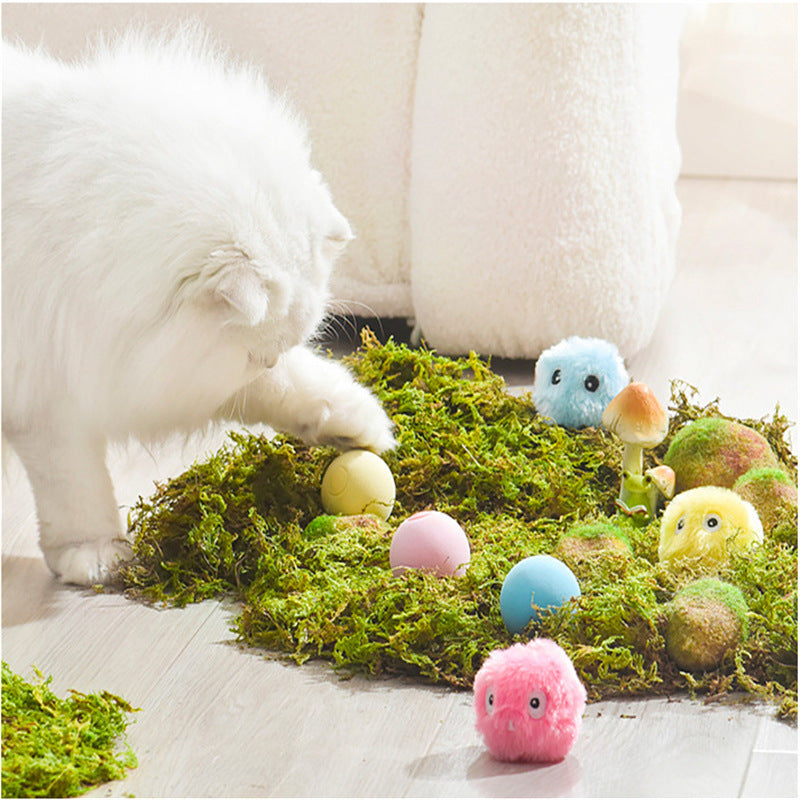 Light-Up Plush Pet Toy Ball
