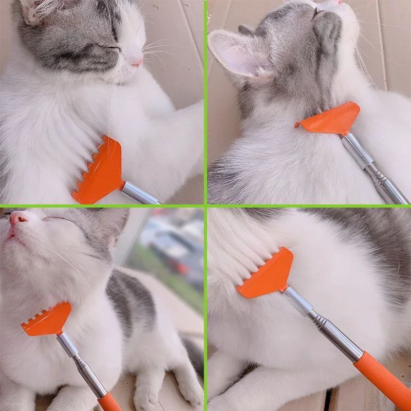 Cat Grooming and Scratching Brush