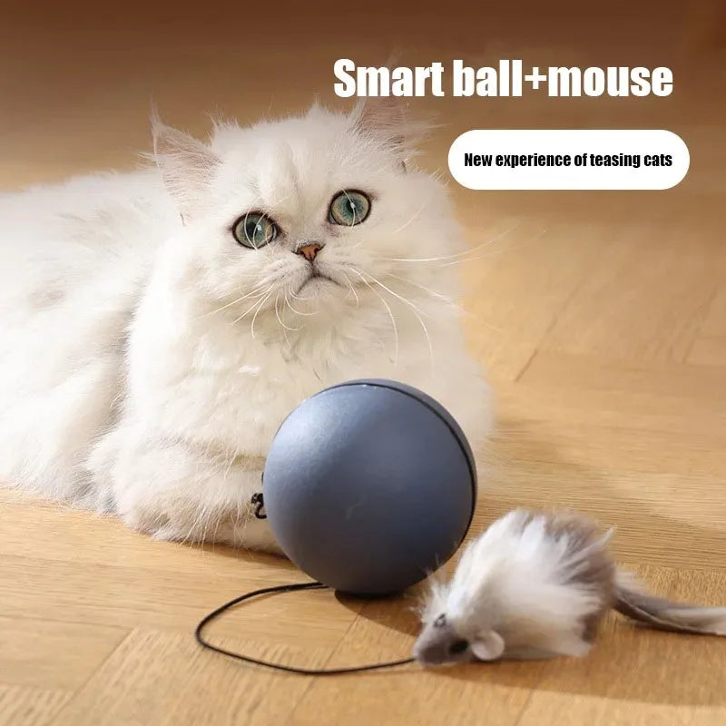 Automatic Rolling Pet Toy Ball