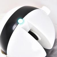 Electronic Interactive Cat Toy