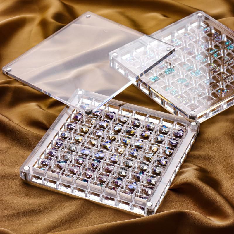Compartment Acrylic Seashell Display Box