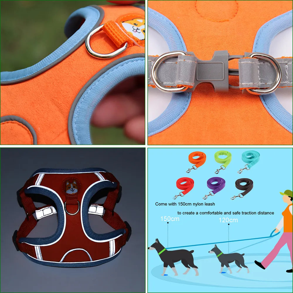 Adjustable Pet Harness and Leash Set