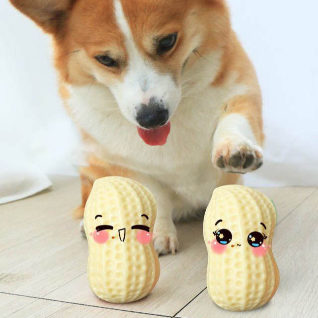 Peanut-Shaped Squeaky Pet Toy