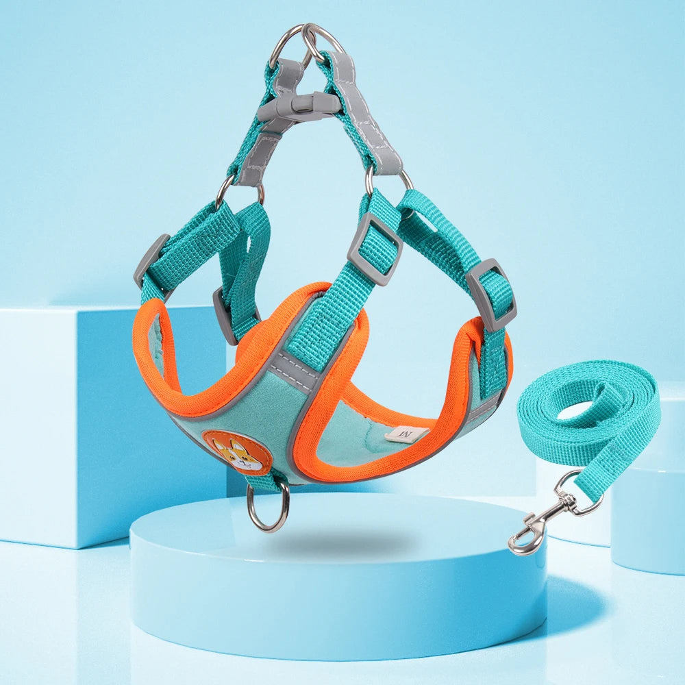 Adjustable Pet Harness and Leash Set