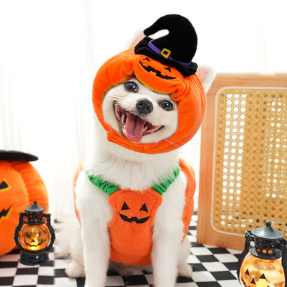 Plush Pumpkin Pet Costume