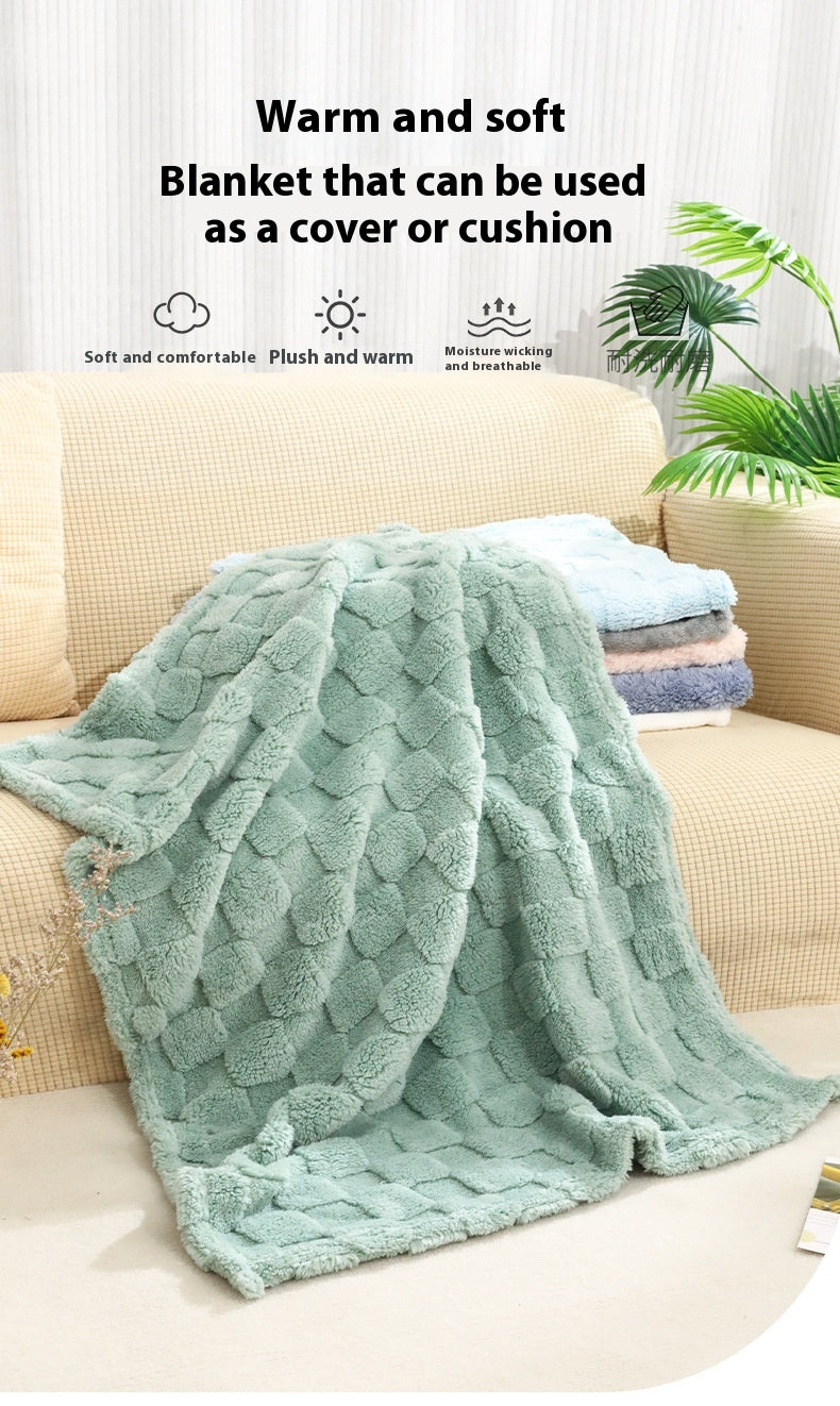 Coral Fleece Pet Blanket