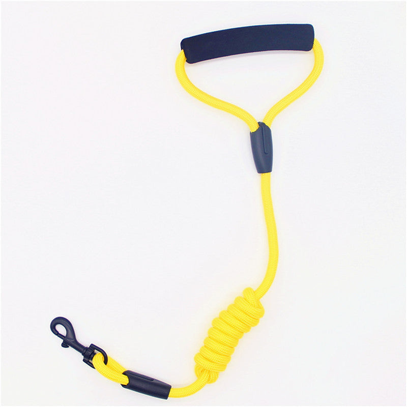 Nylon Dog Leash