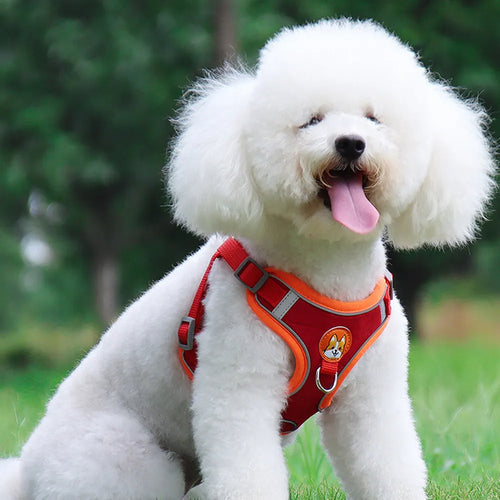 Adjustable Pet Harness and Leash Set