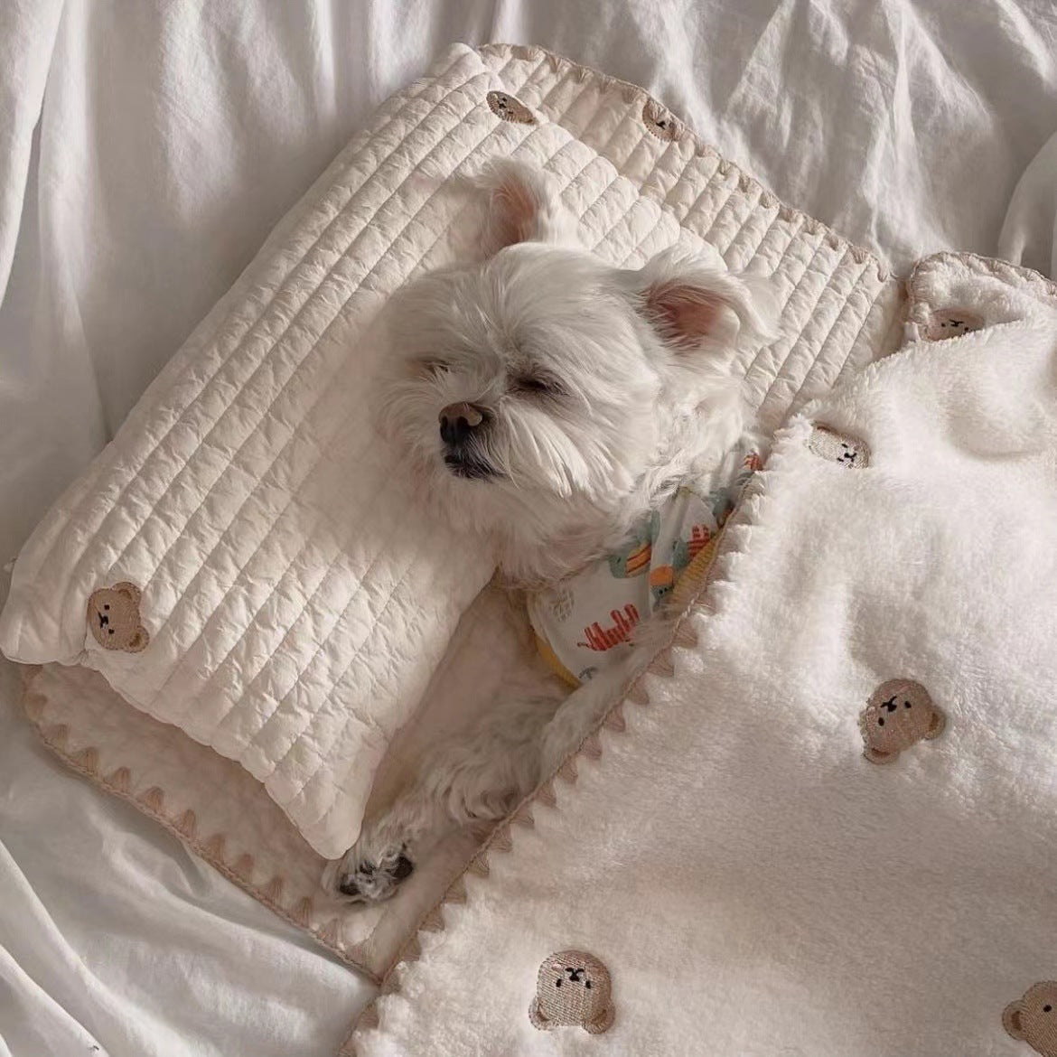 Pet Bed with Removable Square Cushion