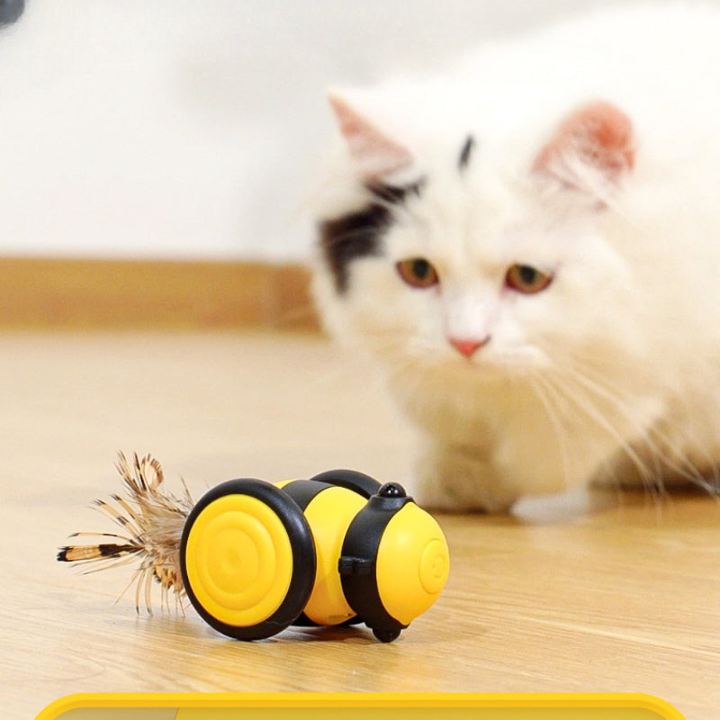 Electric Cat Chase Toy with Feather