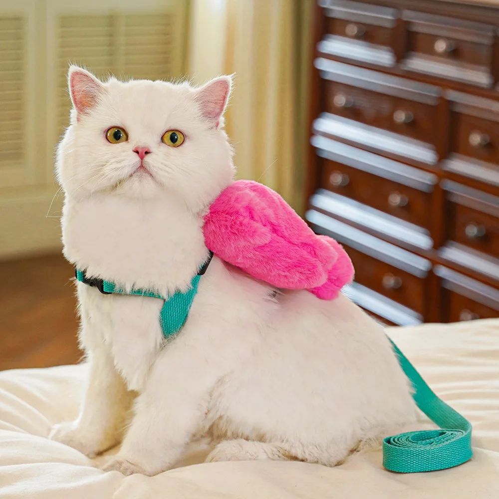 Bow Pet Harness