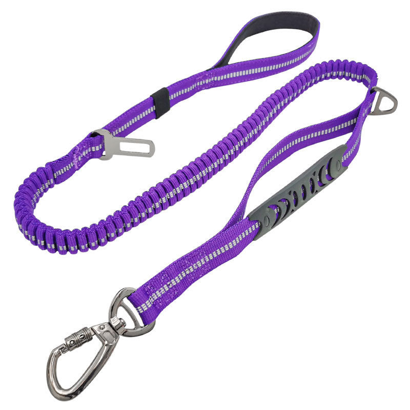 Dog Walking Leash