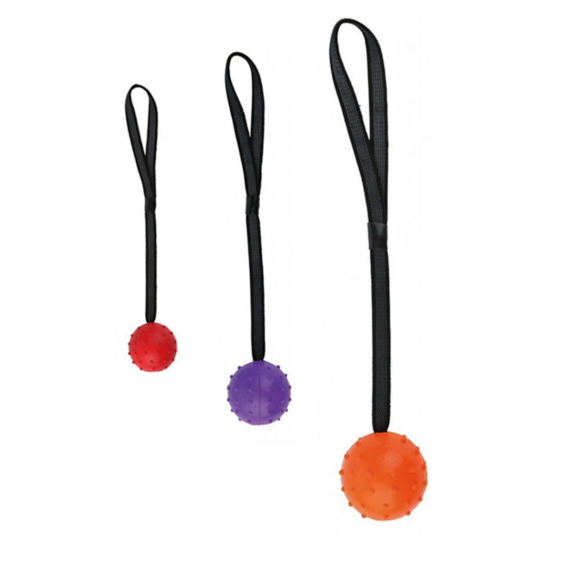 Rubber Ball Dog Toy with Rope