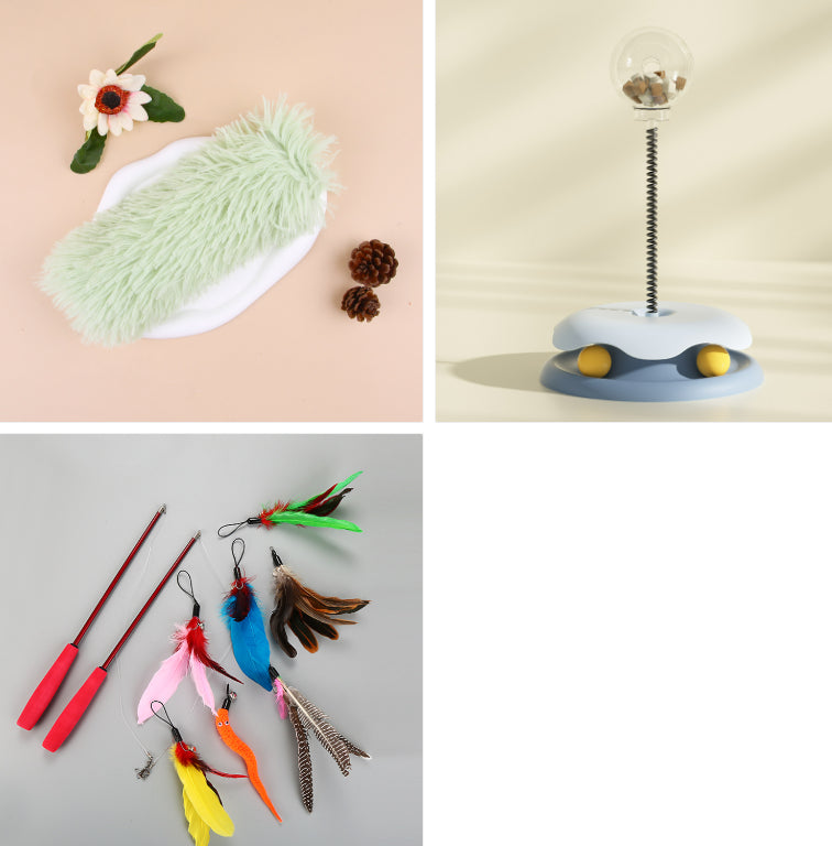 Ten-Piece Cat Teaser Wand Set
