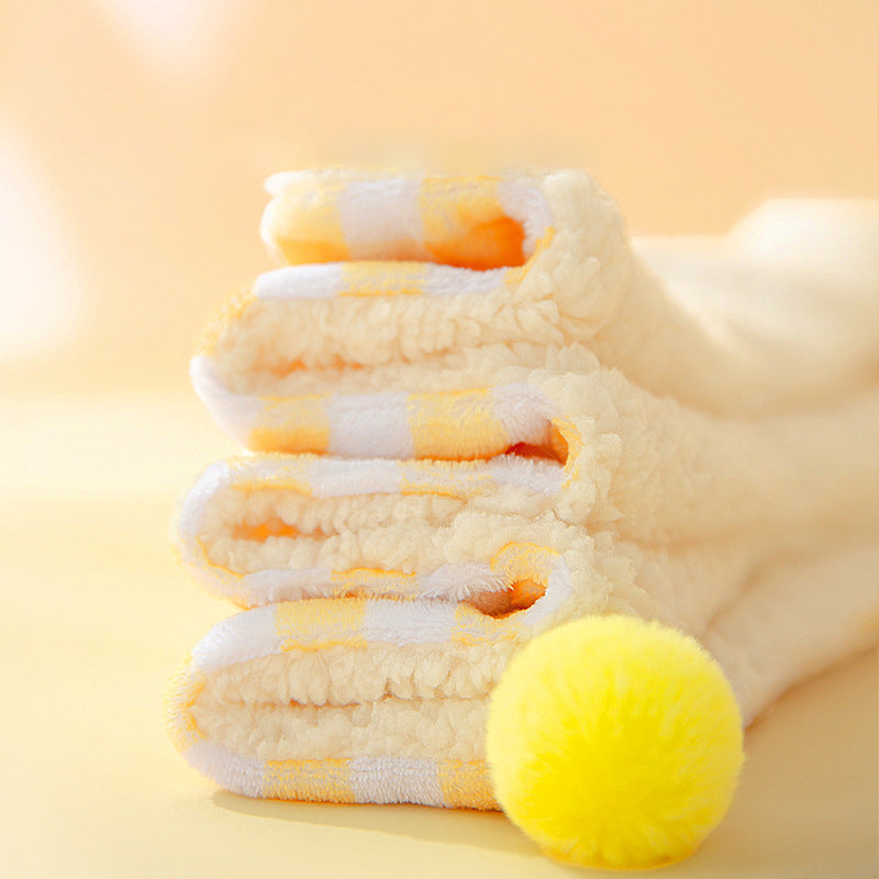 Coral Fleece Pet Blanket
