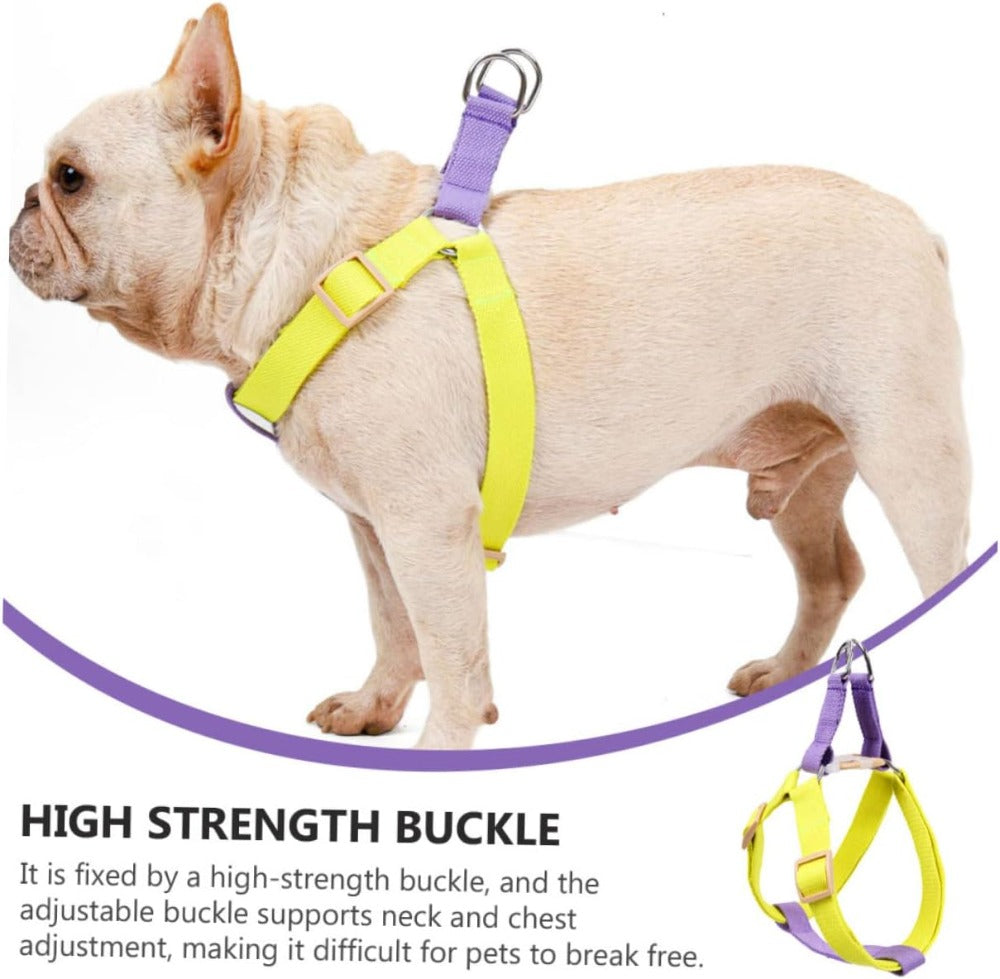 Small Dog Harness and Leash Set