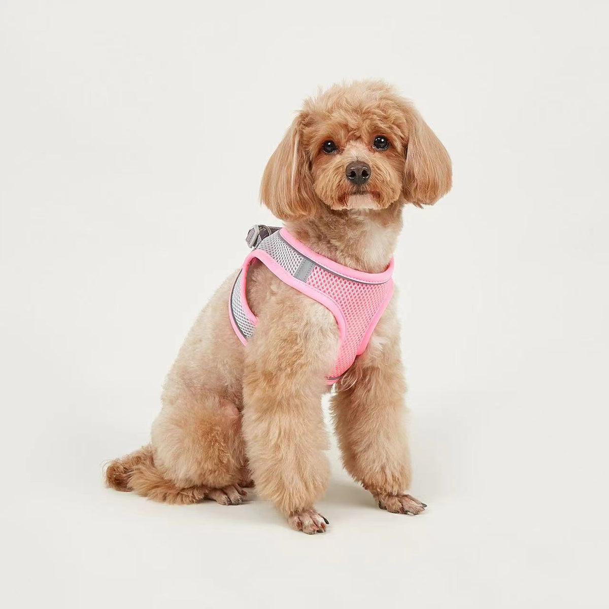 Vest-Style Pet Harness