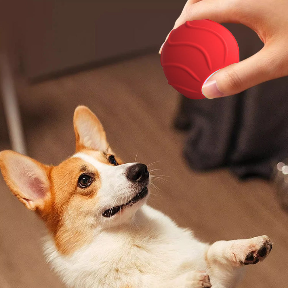 Rechargeable Bouncing Cat Toy Ball