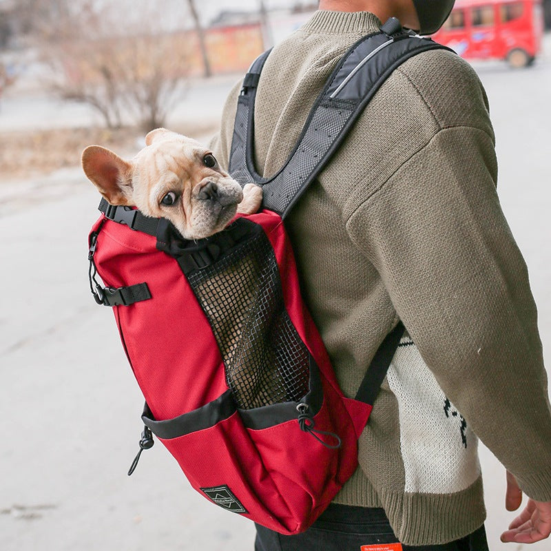 Double-Shoulder Pet Carrier Backpack