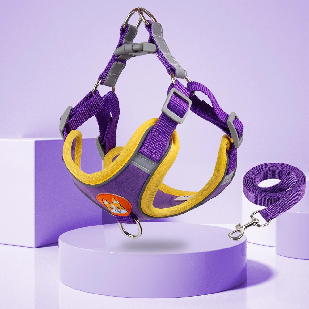 Adjustable Pet Harness and Leash Set