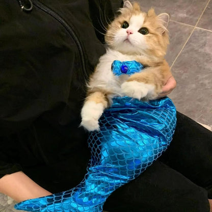 Mermaid Tail Pet Costume