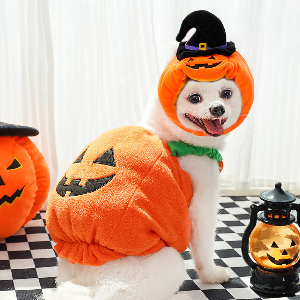 Plush Pumpkin Pet Costume
