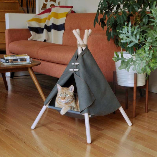 Pet Tent Bed with Frame
