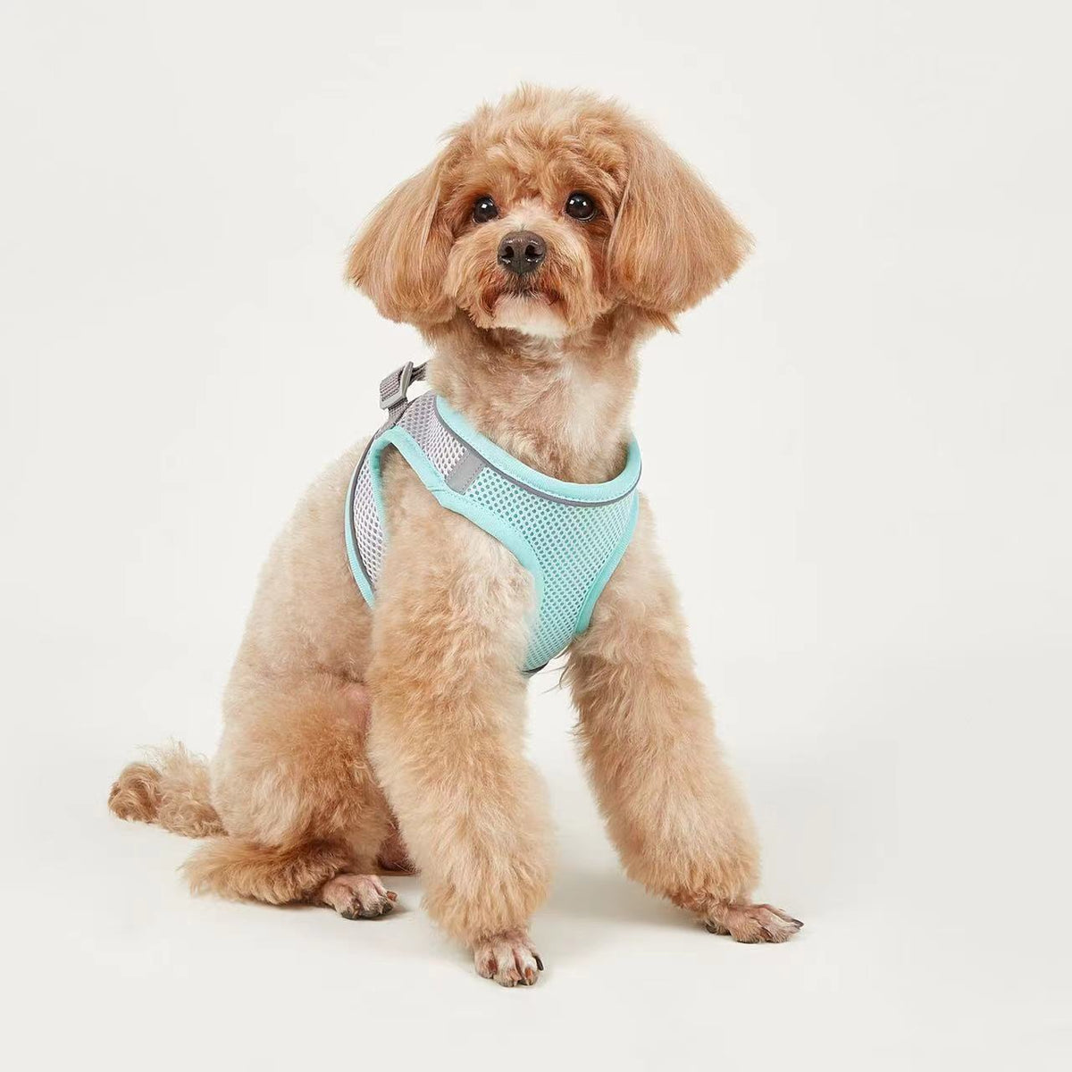 Vest-Style Pet Harness