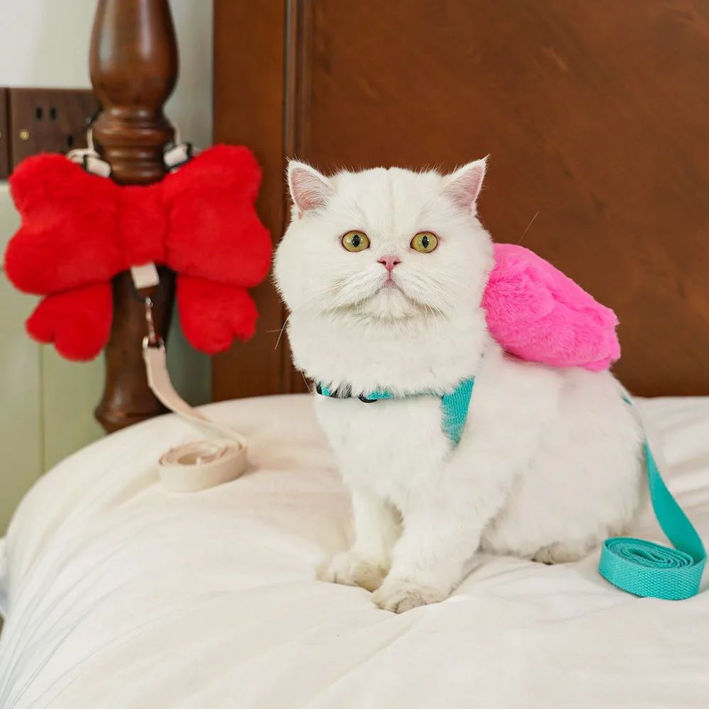 Bow Pet Harness