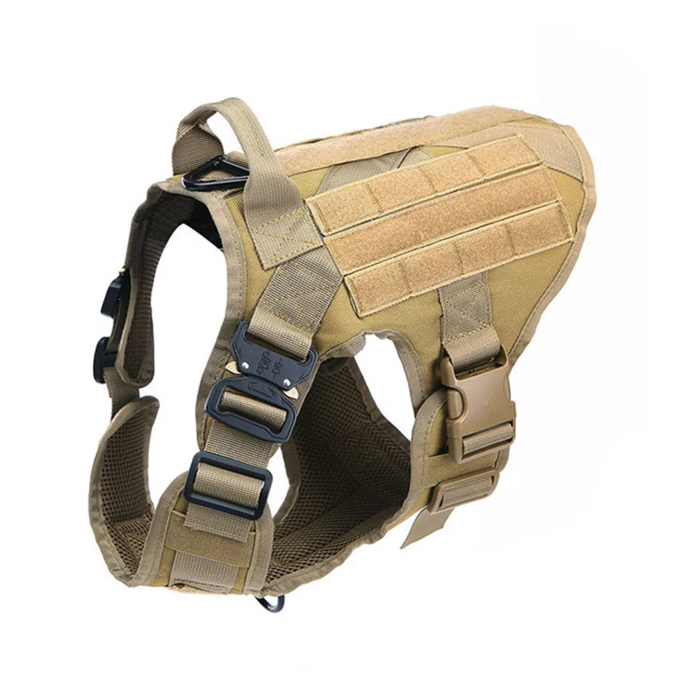 Pet Harness and Leash Set