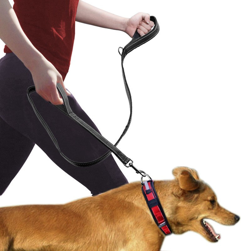 Double-Handle Pet Leash
